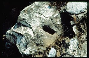PR103_01_15