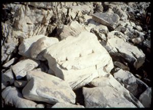 PR114_02_18
