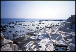 PR114_03_15