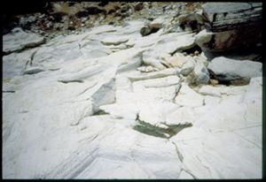 PR114_03_19