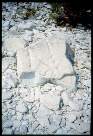 PR114_03_24