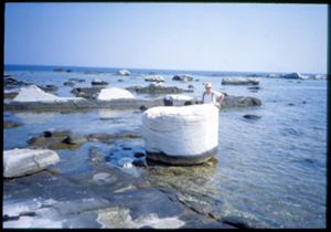 PR114_04_02