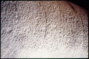 PR203_01_19