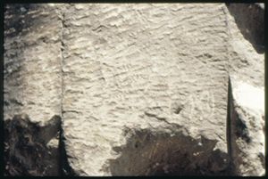 PR204_04_20