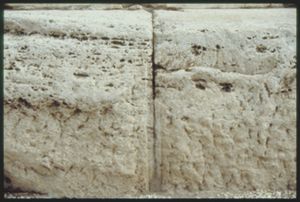 PR204_07_11