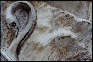 PR205_07_22