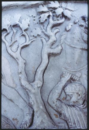 PR205_12_23