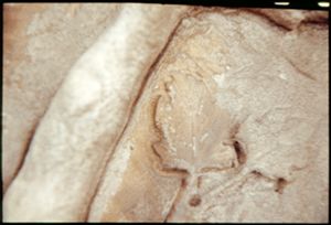 PR205_13_08