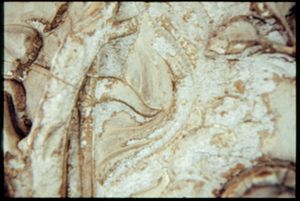 PR205_13_18