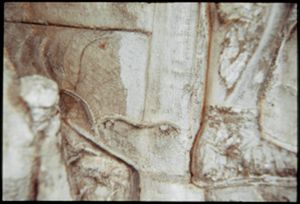 PR205_13_20