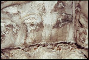 PR205_13_22