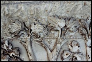 PR205_15_23