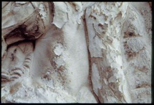 PR205_16_06