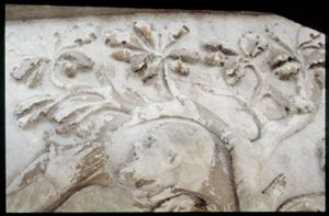 PR205_1_01_01