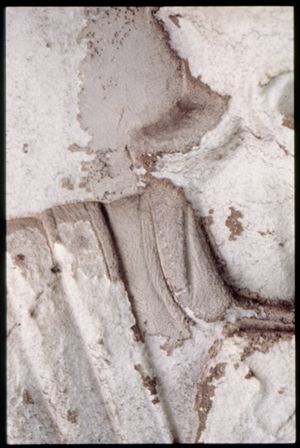 PR205_1_01_07