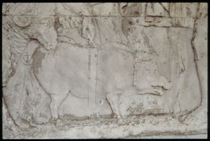 PR205_1_02_02