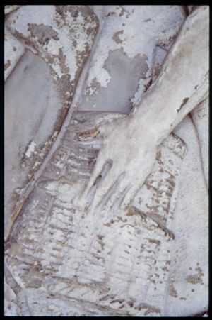 PR205_1_02_19