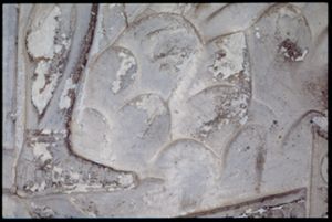 PR205_1_03_01