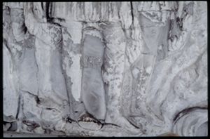PR205_1_03_20