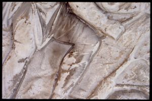 PR205_1_04_04