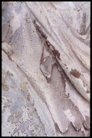 PR205_1_04_09