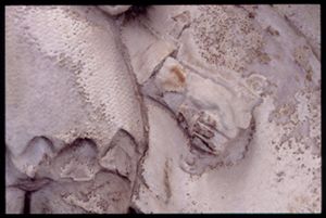 PR205_1_04_10