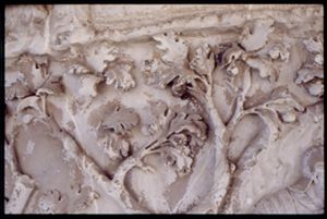 PR205_1_04_19
