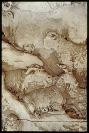 PR205_1_05_05