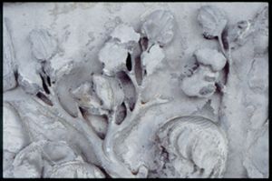 PR205_1_05_13