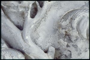 PR205_1_05_15