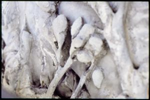 PR205_1_05_20