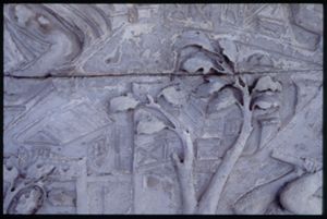 PR205_1_06_04
