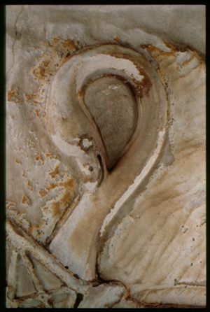PR205_1_06_20