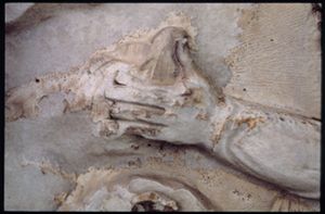 PR205_1_07_02