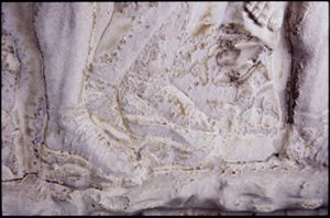PR205_1_08_18