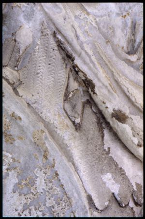 PR205_1_08_19