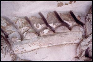PR205_1_10_10