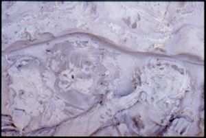 PR205_1_10_18
