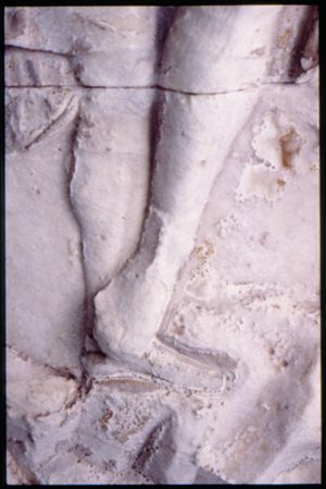 PR205_1_10_20