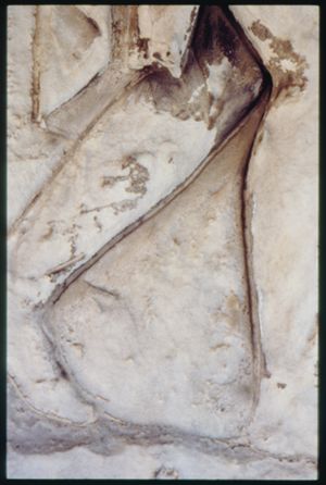 PR205_1_12_07