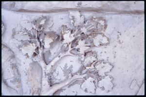 PR205_1_12_10