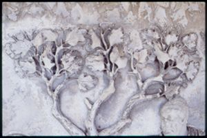 PR205_1_13_01