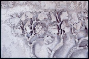 PR205_1_13_02