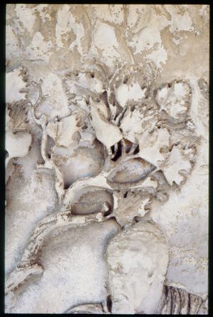 PR205_1_13_03