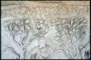 PR205_1_13_04
