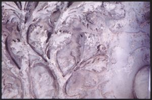 PR205_1_13_07