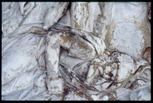 PR205_1_13_13