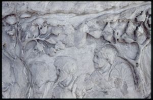 PR205_1_13_14