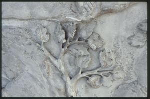 PR205_1_14_05