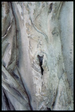 PR205_1_14_09